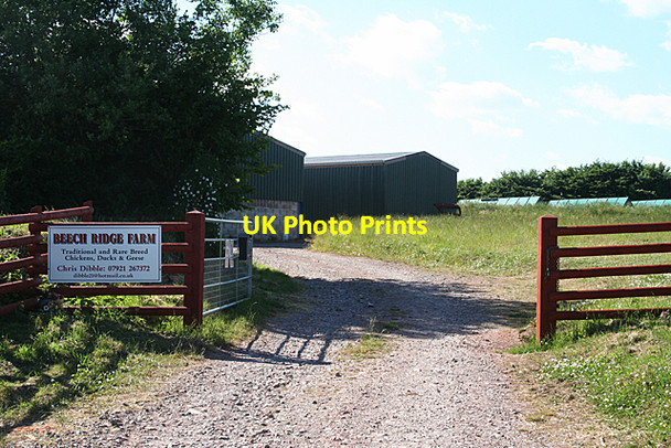 Photo 6"x4" Hockworthy: Beech Ridge Farm Hockworthy c2010