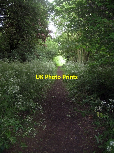 Photo 6"x4" More of Stanley Ferry Flash (2) Wakefield\/SE3320 c2010