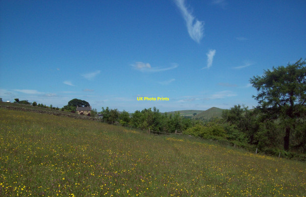 Photo 6"x4" Meadow near Pilsbury Castle Hills Brund c2010