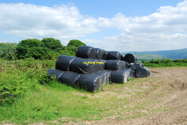 Photo 6"x4" Last seasons haylage bales at Bron-yr-on Gwyddelwern c2010