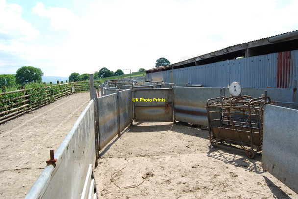 Photo 6"x4" Livestock handling pens at Bron-yr-on Gwyddelwern c2010