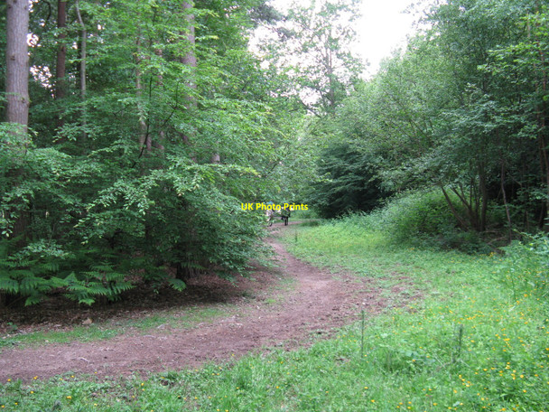 Photo 6"x4" Horse riders on a footpath in Downlands Wood Rose Hill\/TQ4516 c2010