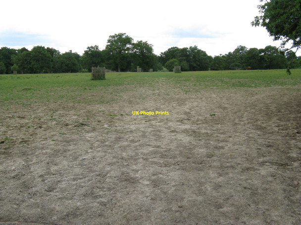 Photo 6"x4" Wooden tree guards in Plashett Park Rose Hill\/TQ4516 c2010