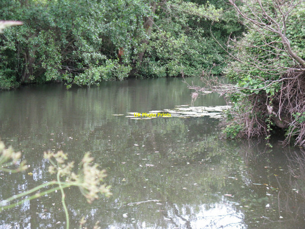 Photo 6"x4" River Uck north east of Isfield Isfield c2010