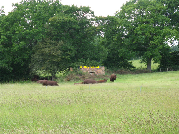 Photo 6"x4" Cattle guarding pillbox, guarding River Uck Isfield c2010