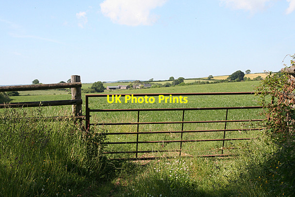 Photo 6"x4" Hockworthy: towards Thornland Staple Cross\/ST0320 c2010