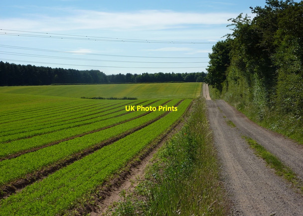 Photo 6"x4" Track and field west of Crookford Farm Elkesley c2010