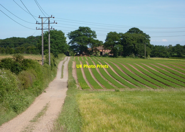Photo 6"x4" Field and track towards Crookford Farm Elkesley c2010
