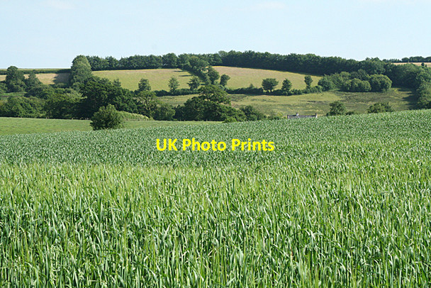 Photo 6"x4" Hockworthy: towards Hockford Waters Staple Cross\/ST0320 c2010