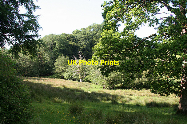 Photo 6"x4" Huntsham: towards Grant's Copse Coombe\/ST0017 c2010