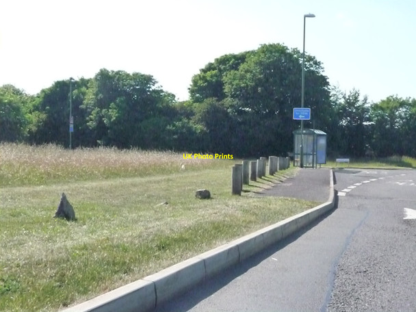 Photo 6"x4" Churston : Dartmouth Road & Bus Stop Galmpton\/SX8956 c2010