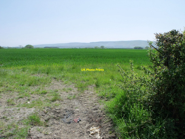 Photo 6"x4" Cereal fields south of Ripe, East Sussex Eckington Corner c2010