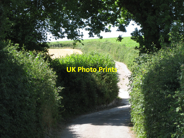 Photo 6"x4" Nearing Neilgate Corner Ashburton c2010