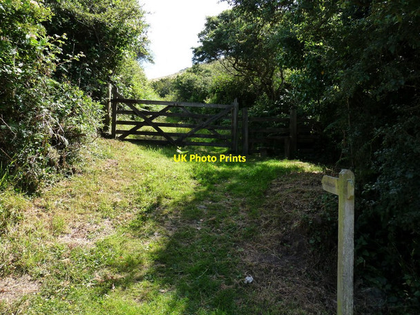 Photo 6"x4" A footpath leading to Woolacombe Down Vention c2010