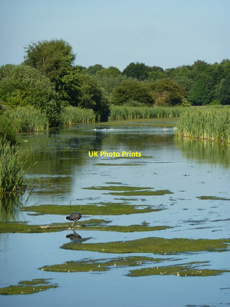 Photo 6"x4" River Poulter below the ford Hardwick Village c2010