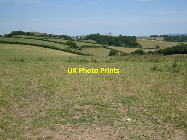 Photo 6"x4" Grassland with nettles and thistles Ashburton c2010