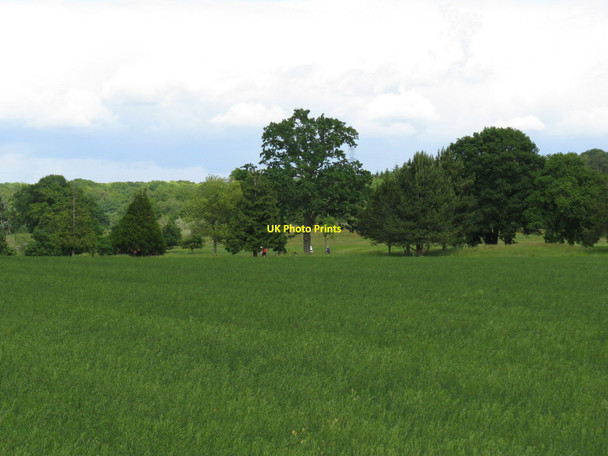 Photo 6"x4" The East Course at the East Sussex National Isfield c2010