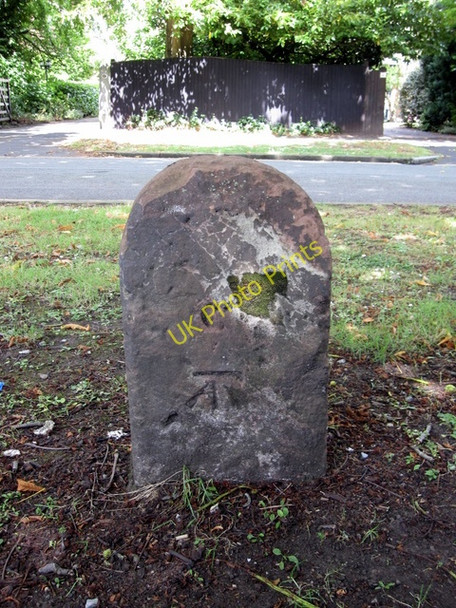 Photo 6"x4" Bench mark in Curzon Park South Chester c2009