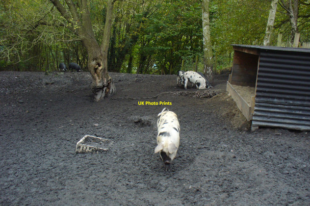 Photo 6"x4" Piggery at Blists Hill Victorian Village Blists Hill c2008