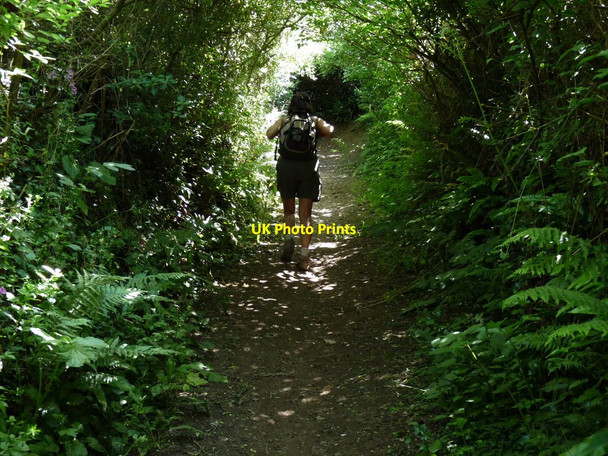 Photo 6"x4" The final ascent up Pathdown lane Cross\/SS4539 c2010