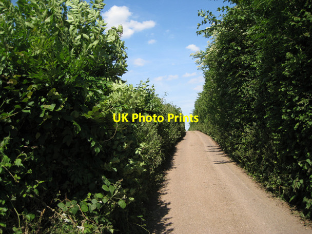 Photo 6"x4" Looking east up Dolbeare Road Ashburton c2010