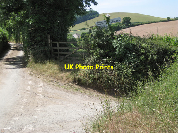 Photo 6"x4" Lake Cross Ashburton c2010