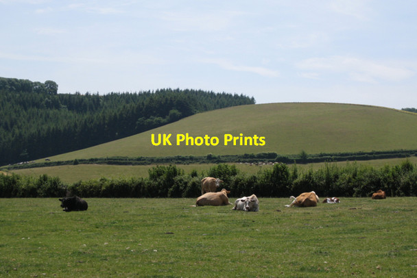 Photo 6"x4" Byway east of Parkfield Ashburton c2010