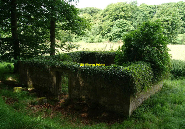 Photo 6"x4" Lochgreen Farm Burial Ground Greenhill\/NS8278 c2010