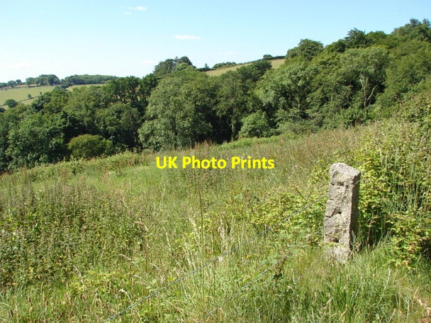Photo 6"x4" The Shotts, Haytor Vale Haytor Vale c2010 P1