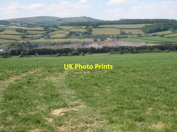 Photo 6"x4" Grassland west of Creek Farm Ashburton c2010