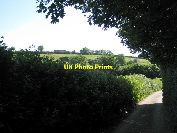 Photo 6"x4" Dolbeare Road Ashburton c2010