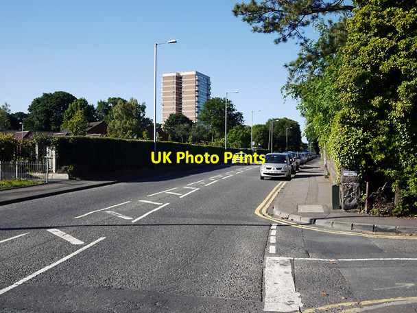 Photo 6"x4" The Shore Road, Whiteabbey Newtownabbey c2010