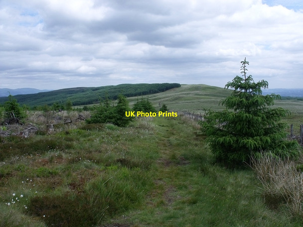Photo 6"x4" View to Denny Muir High Banton c2010