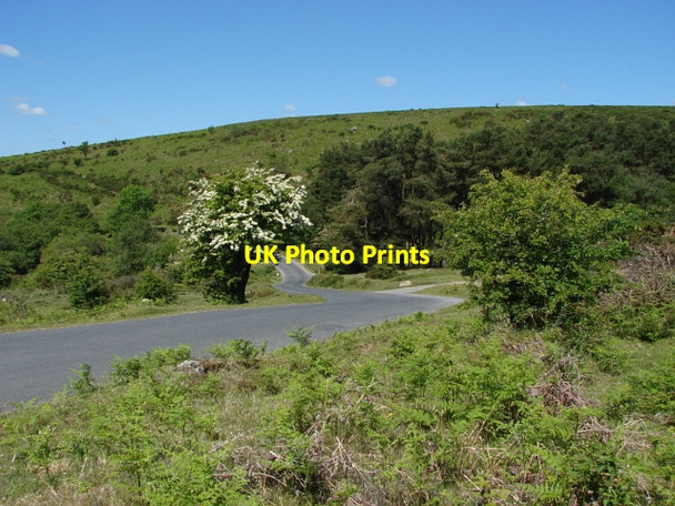 Photo 6"x4" Pudsham Down Higher Dunstone c2010