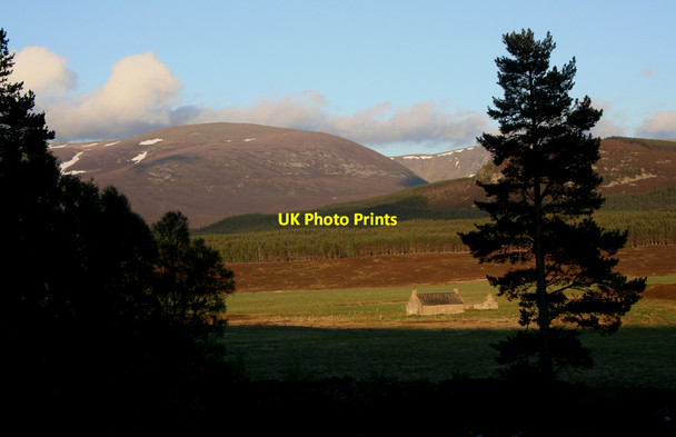 Photo 6"x4" Baileguish and Glen Feshie Corarnstilbeg c2010