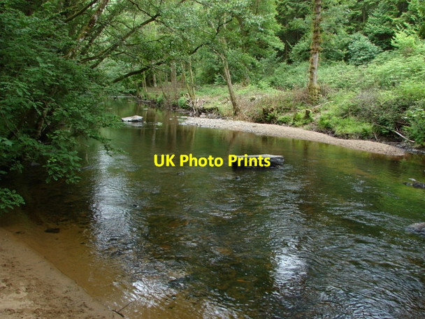 Photo 6"x4" River Teign, Dunsford Wood Butts\/SX8089 c2010