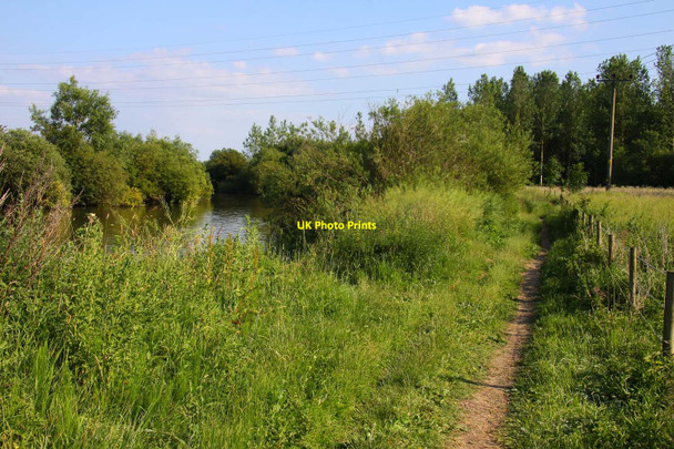 Photo 6"x4" The Thames Path Sandford-on-Thames c2010