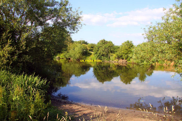 Photo 6"x4" The Thames south of Sandford Lock Sandford-on-Thames c2010