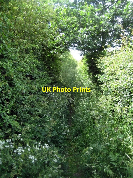 Photo 6"x4" Public footpath, Heath Common (4) Normanton\/SE3822 c2010