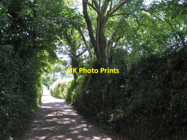Photo 6"x4" Lane down to Orlycombe Cross Wotton Cross\/SX8069 c2010