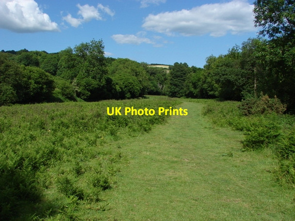 Photo 6"x4" Fields near Lustleigh Lustleigh c2010