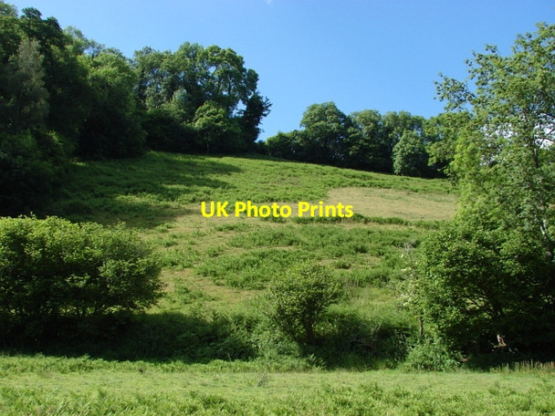 Photo 6"x4" Fields near Lustleigh Lustleigh c2010 P1