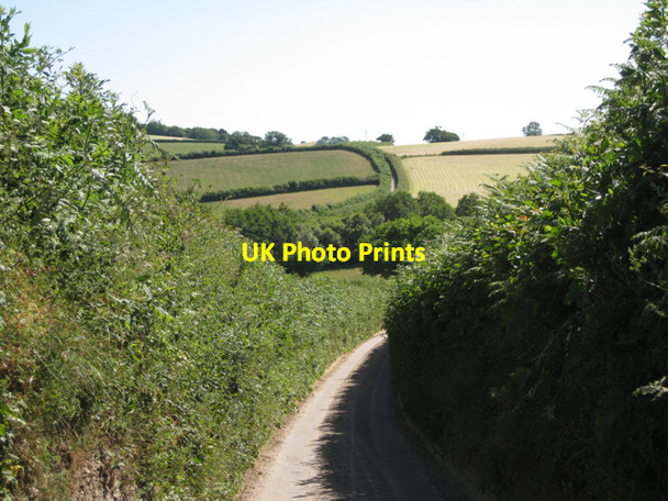 Photo 6"x4" Lane to Purcombe Cross Wotton Cross\/SX8069 c2010