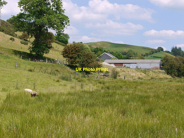 Photo 6"x4" Field by Tan-y-llwyn Llangurig c2010