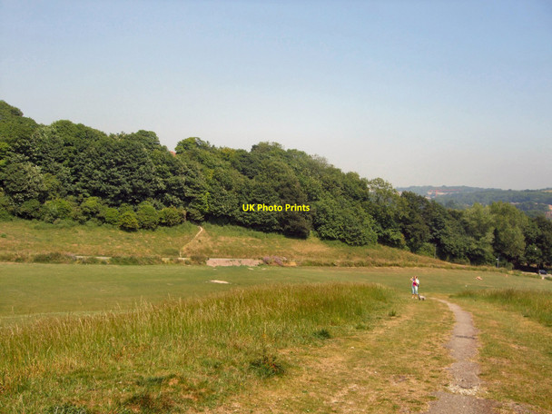 Photo 6"x4" Wild Park looking East Brighton\/TQ3106 c2010
