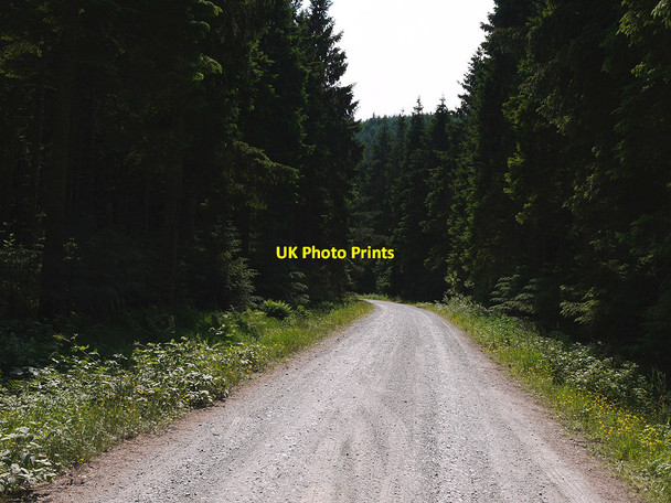 Photo 6"x4" Forestry track near Pont Rhydgaled Pont Rhydgaled c2010