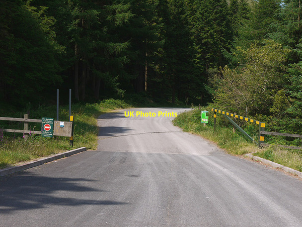 Photo 6"x4" Forestry entrance Foel Wyddon c2010