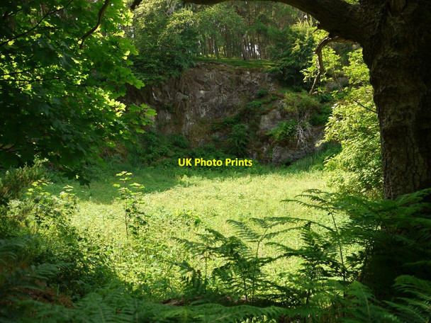 Photo 6"x4" Flodden Quarry (lower face) West Flodden c2010