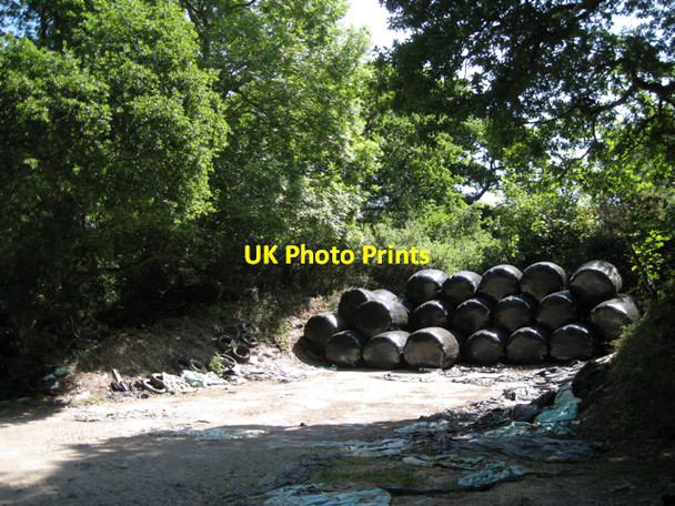 Photo 6"x4" Corner of a copse, East Down Wotton Cross\/SX8069 c2010