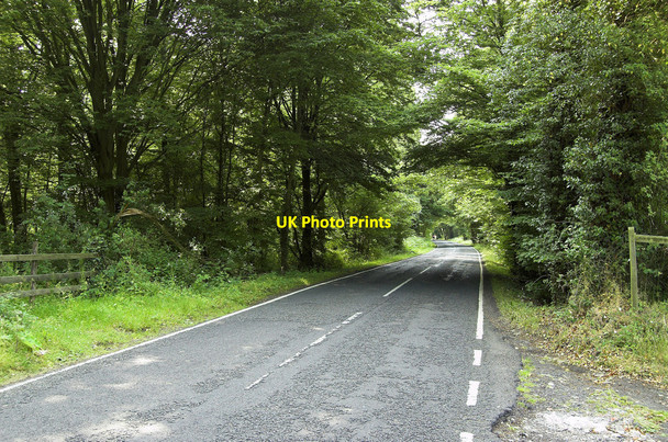 Photo 6"x4" Ripley Road, West Clandon (1) West Clandon c2010